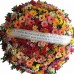 Coroa de Flores com Rosas e Gérberas Coloridas (Tam: 1,50)