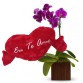 Orquídea Lilás+Coração Grande "Eu Te Amo" 48x52